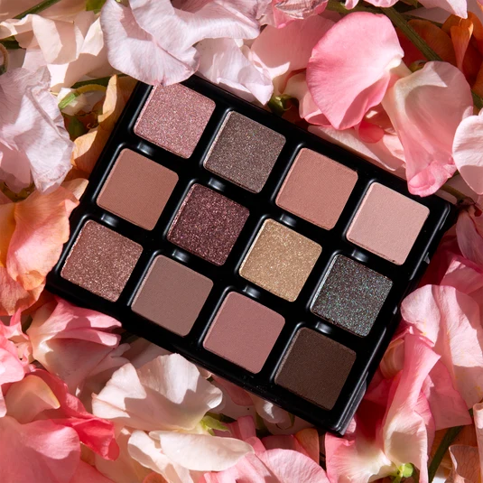 VisePRO Eye Shadow Palette Cashmerie Charmeuse Etendu