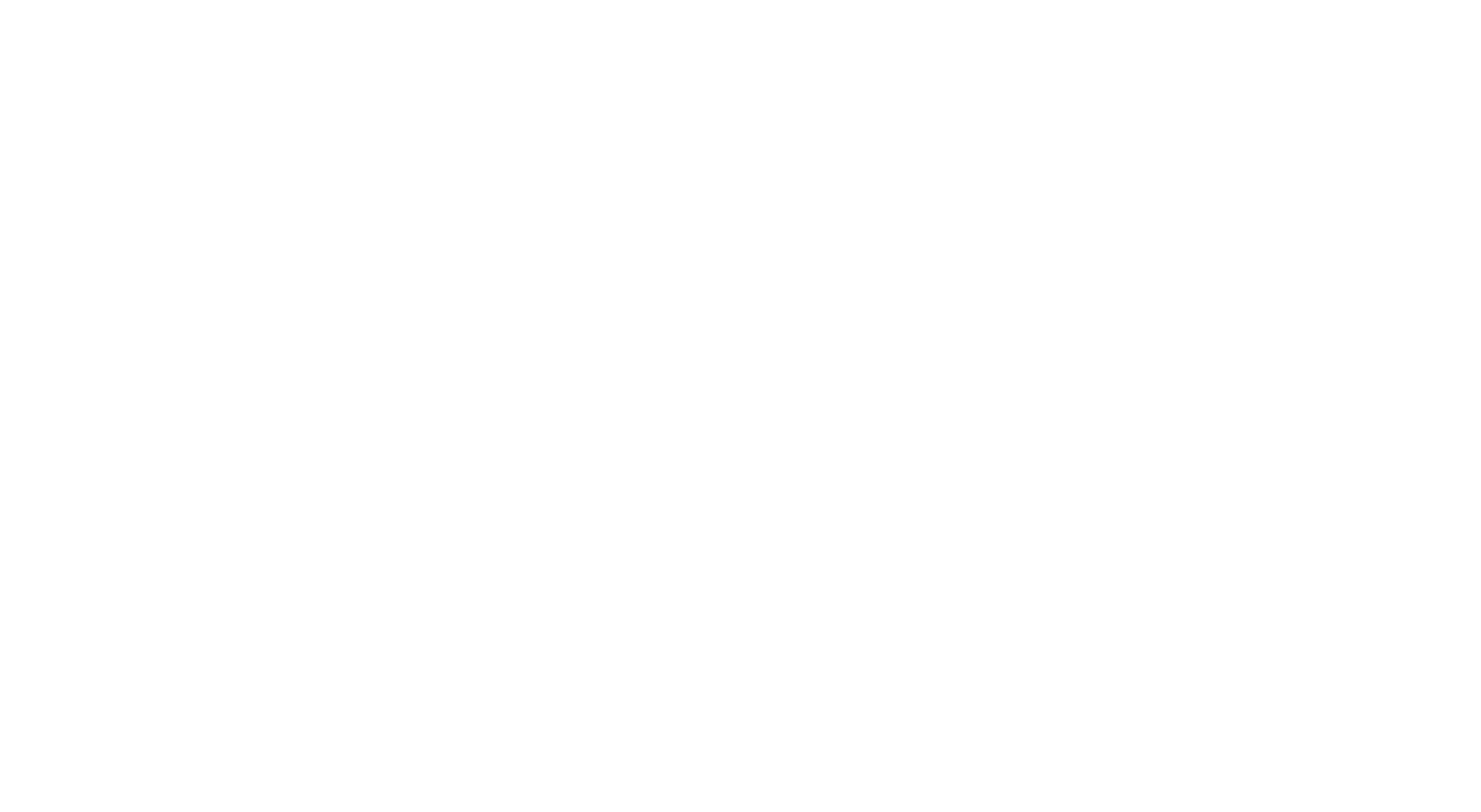 Iris Store + Studio